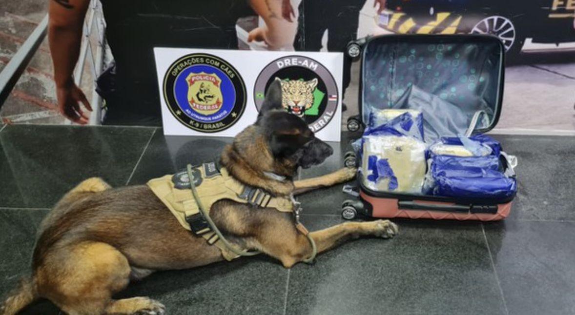 passageira-com-cerca-de-9-kg-d