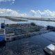 pesquisa-defende-aquicultura-n
