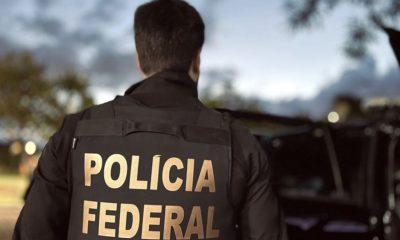 pf-e-icmbio-apreendem-caca-e-p