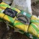 policia-federal-apreende-100kg