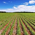 acre-amapa-e-amazonas-ficam-fo