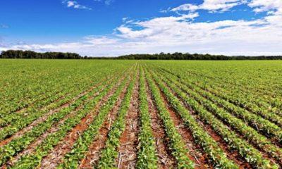 acre-amapa-e-amazonas-ficam-fo