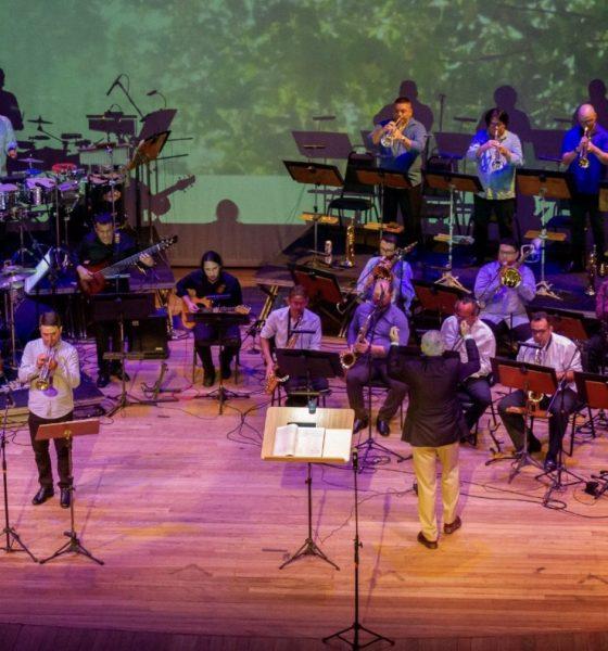 amazonas-green-jazz-festival-t