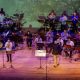 amazonas-green-jazz-festival-t