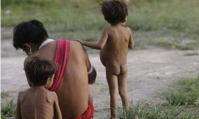amazonas-tem-maior-numero-de-m