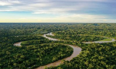 amazonia-legal-premios-reconhe