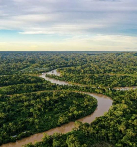 amazonia-legal-premios-reconhe