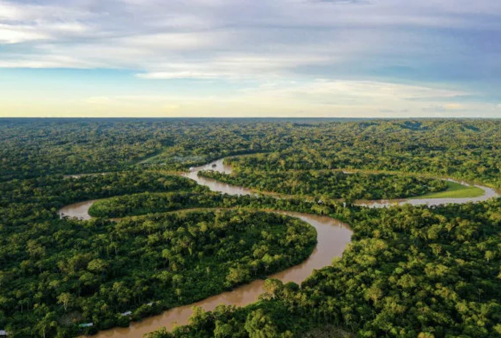 amazonia-legal-premios-reconhe