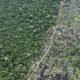 amazonia-relatorio-aponta-que-