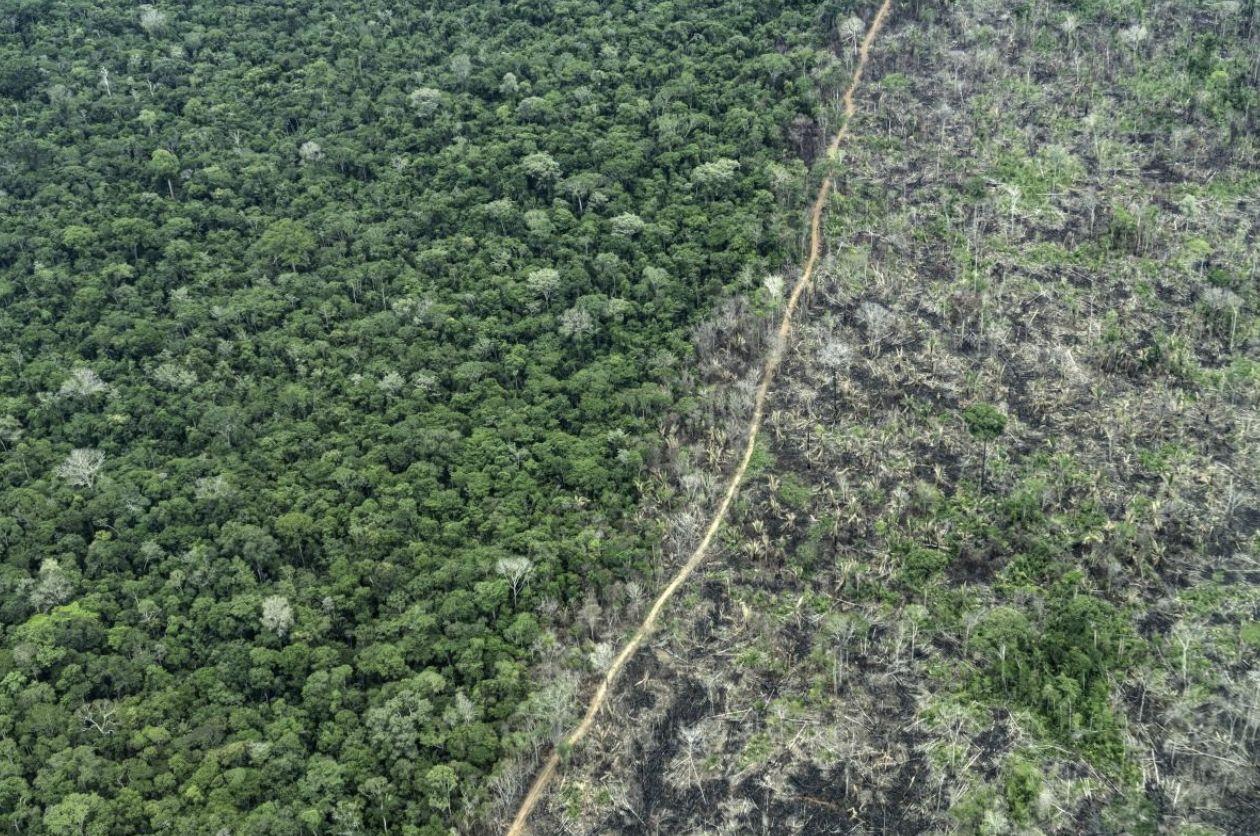 amazonia-relatorio-aponta-que-