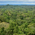 areas-com-mais-biodiversidade-