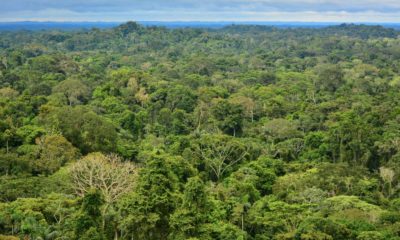areas-com-mais-biodiversidade-