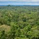 areas-com-mais-biodiversidade-