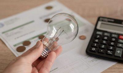 com-energia-em-alta-e-alimenta