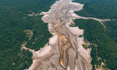 com-mais-secas-amazonia-perde-