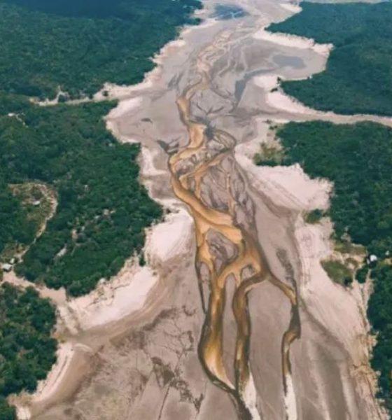 com-mais-secas-amazonia-perde-