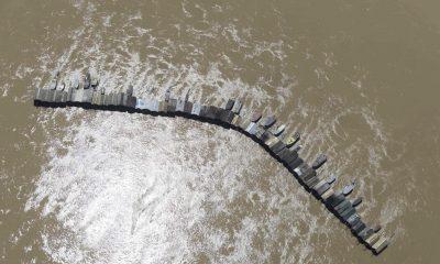 greenpeace-informa-que-flagrou