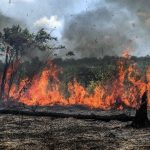 historico-de-incendios-ameaca-