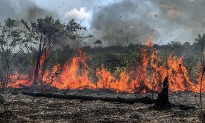 historico-de-incendios-ameaca-