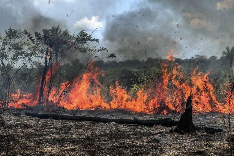 historico-de-incendios-ameaca-