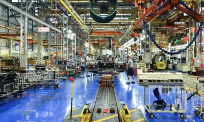ibge-revela-que-17-das-24-ativ