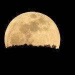 lua-cheia-do-veado-aparece-no-