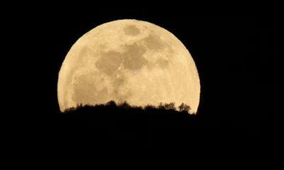 lua-cheia-do-veado-aparece-no-