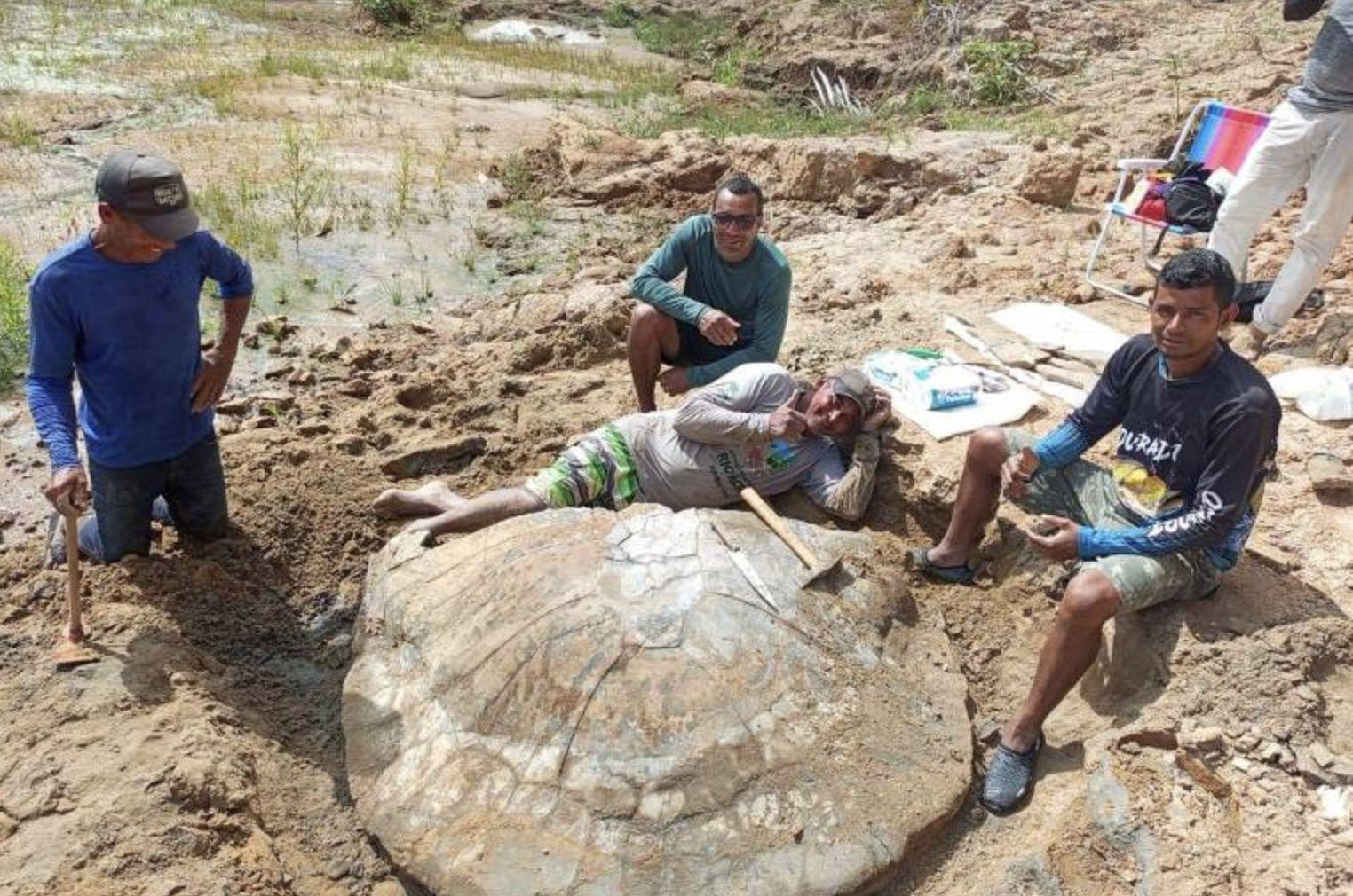 pesquisadores-encontram-fossil