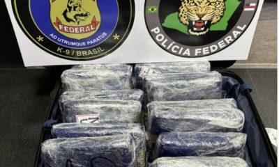 pf-apreende-cerca-de-15kg-de-m