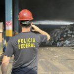 policia-federal-incinera-14-to