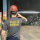 policia-federal-incinera-14-to