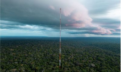 torre-alta-da-amazonia-registr