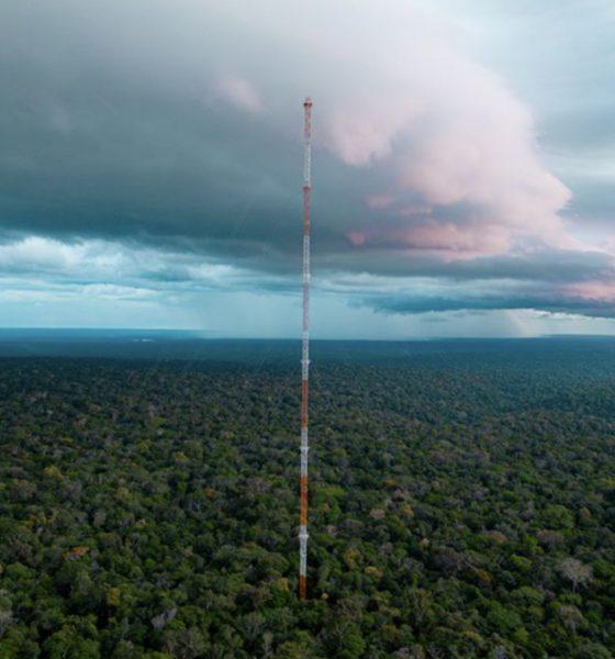 torre-alta-da-amazonia-registr