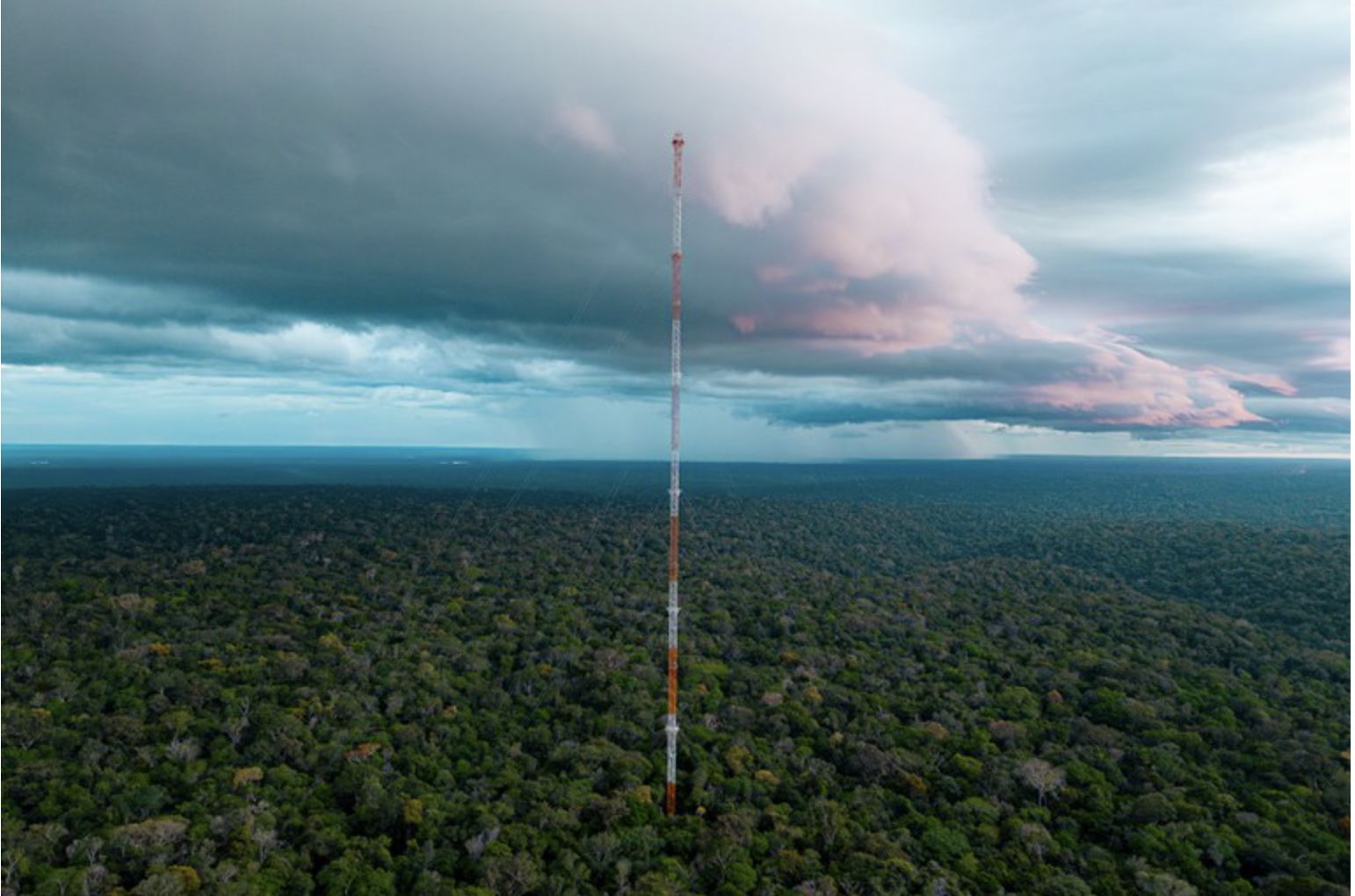 torre-alta-da-amazonia-registr