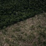 amazonas-e-o-estado-que-mais-d