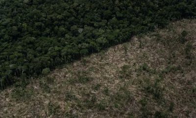 amazonas-e-o-estado-que-mais-d