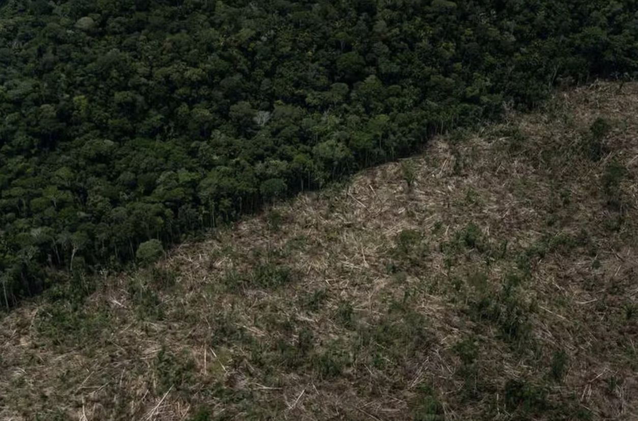 amazonas-e-o-estado-que-mais-d