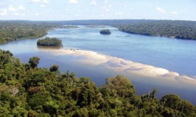 amazonas-possui-2-areas-proteg