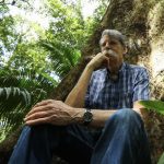 brasil-sera-devastado-se-o-aqu