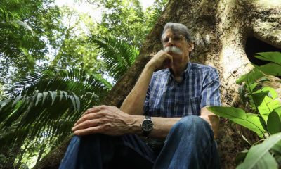 brasil-sera-devastado-se-o-aqu