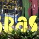 dirigente-da-cop30-diz-que-org