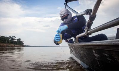 estudo-detecta-mercurio-em-pei
