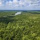floresta-viva-2-bndes-busca-ge