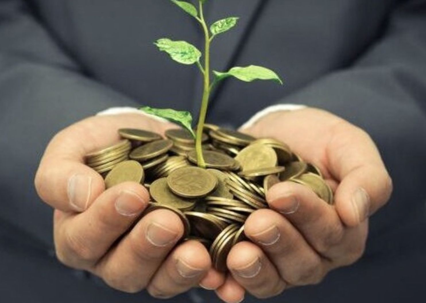 fundos-de-investimentos-susten