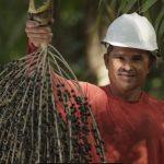 governo-federal-vai-comprar-ac