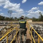 ibama-multa-seis-frigorificos-