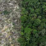 inpe-alertas-de-desmatamento-n