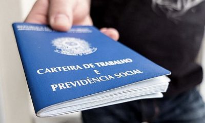 ministerio-cria-camara-naciona