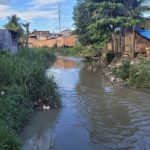pesquisa-realizada-em-manaus-m