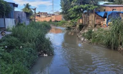 pesquisa-realizada-em-manaus-m